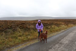 Walk in the Black Mountains, Wales