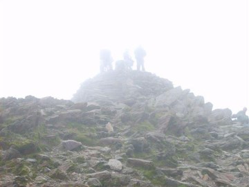 The summit