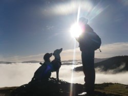 Dogs on Summit in the early morning