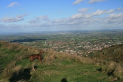 Malvern Hills