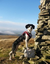 Broom Fell Summit