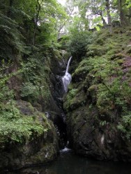 Aira Force