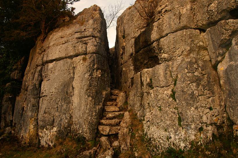 The Fairy Steps 