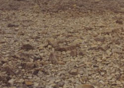 Scree slope of Ben Nevis